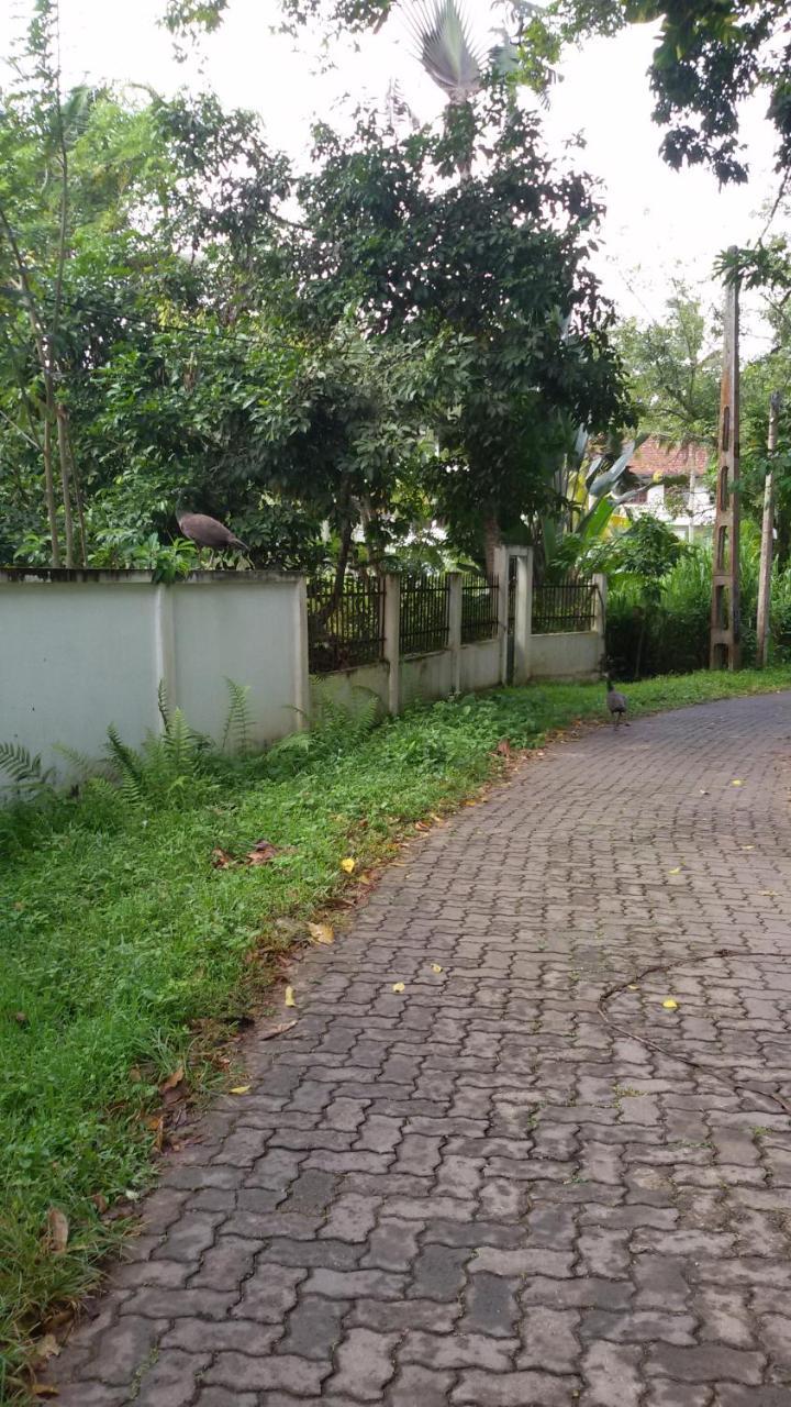 Vero Homestay Galle- Your Home Away From Home! מראה חיצוני תמונה